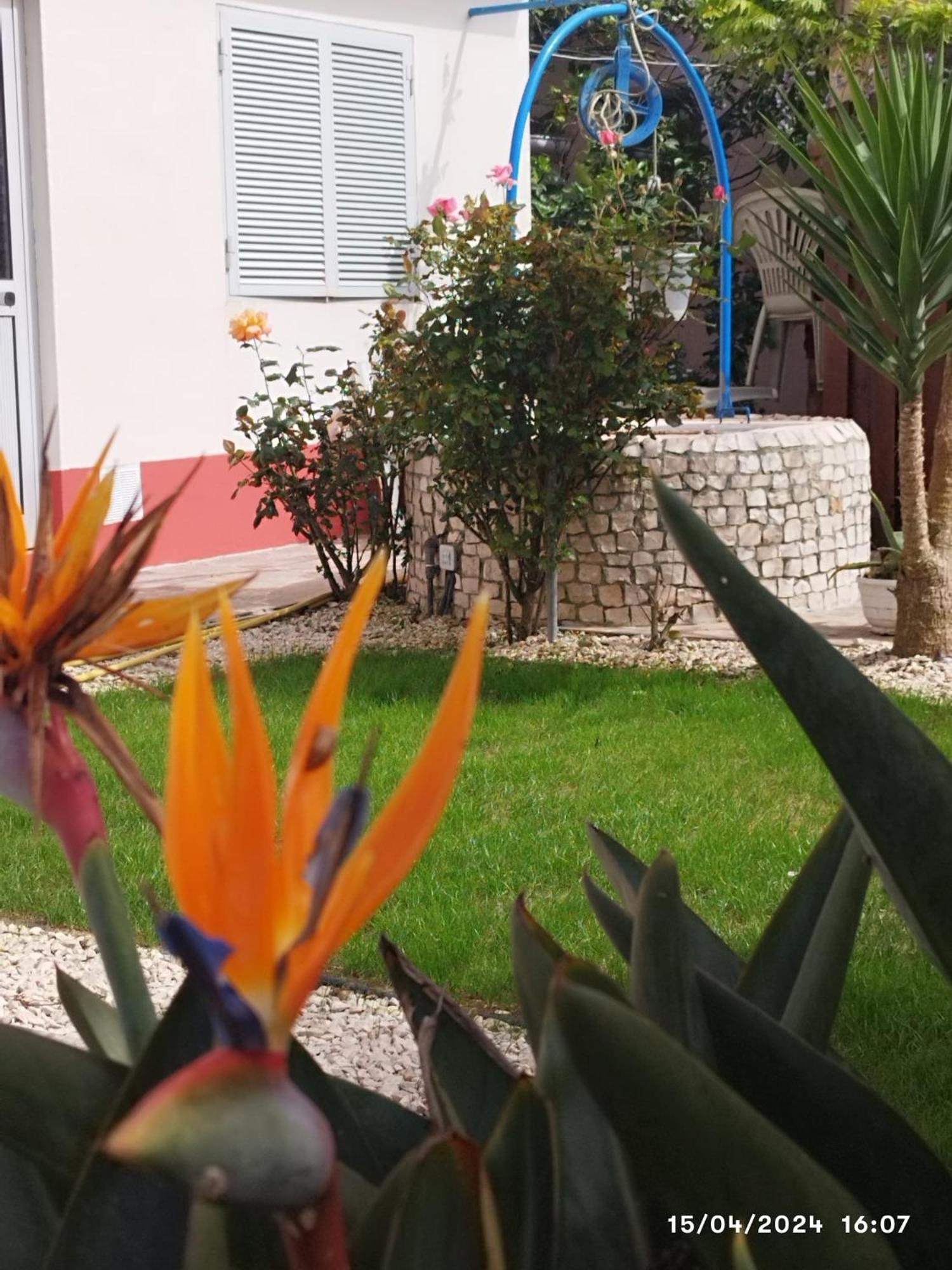 Ranch Lau&Ri Nazare Apartment Cela Velha Екстериор снимка